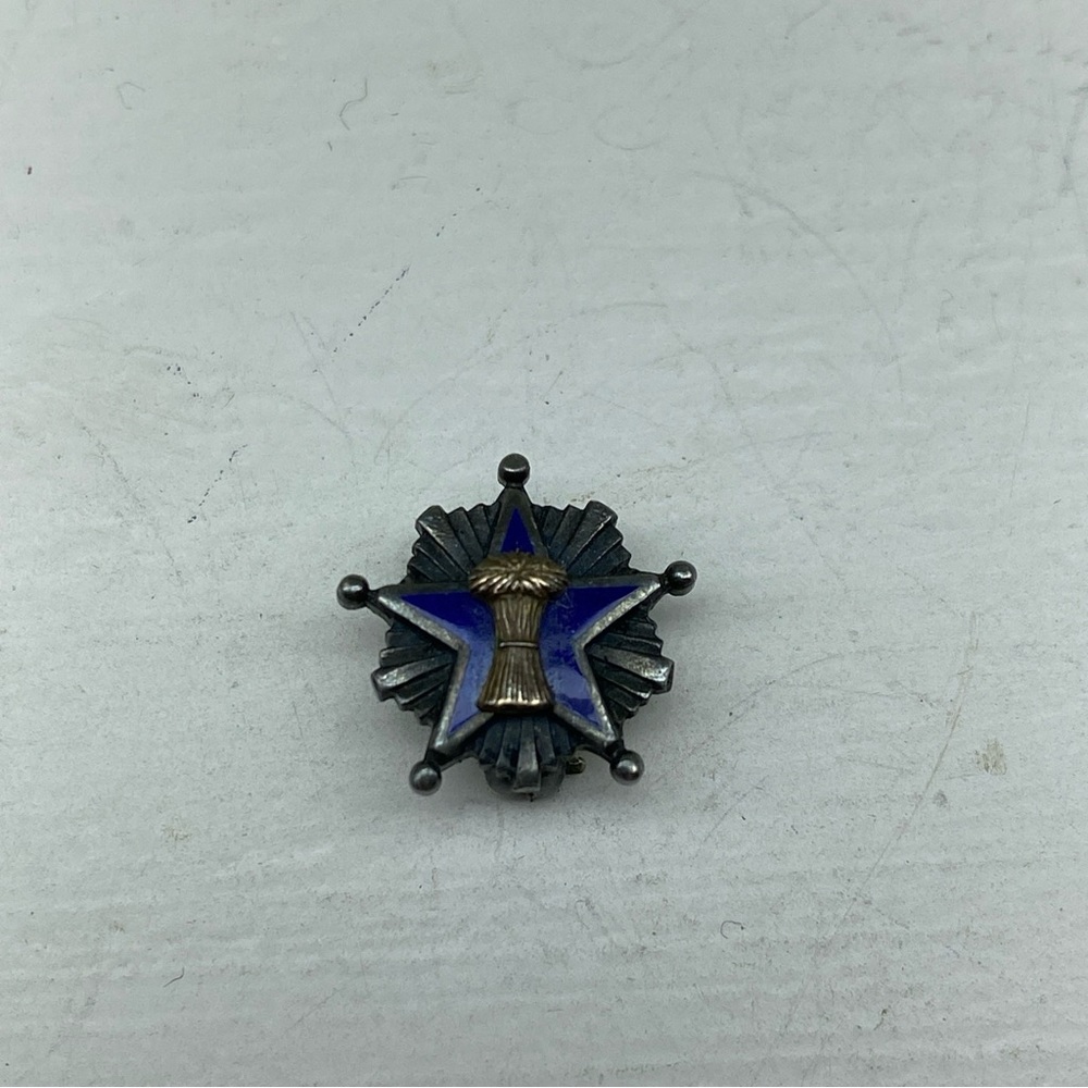 Vintage National Grange Order of Patrons of Husbandry Wheat Lapel Pin